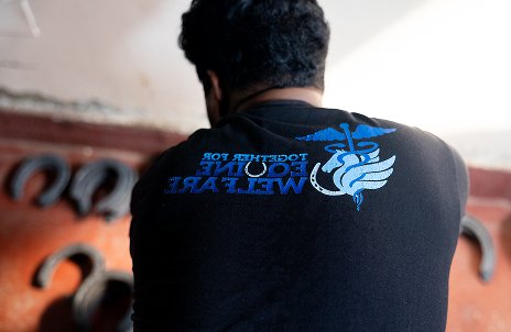 al-bouraq-farriers-2